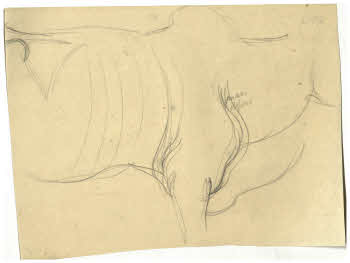 Visualizza l'immagine "FD D 169"